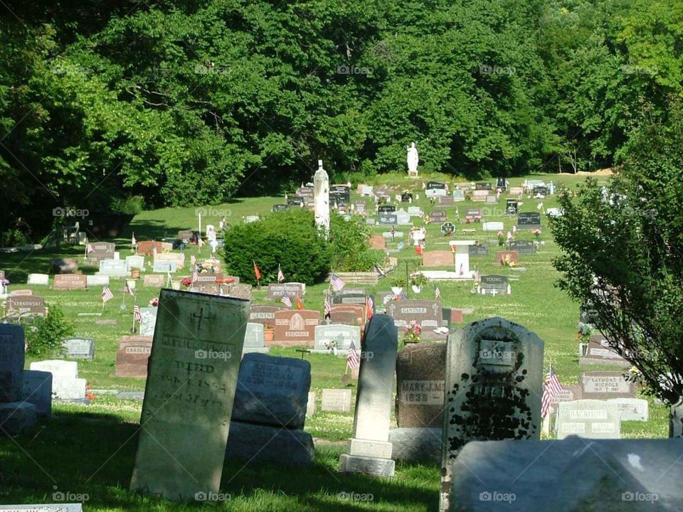 A large cemetery in Michigan