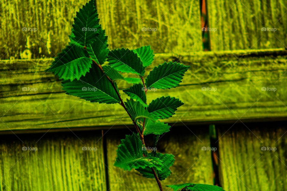 growing beyond boundaries