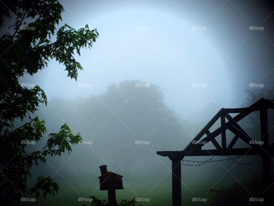 Foggy pasture with silhouettes of pagoda bird house and tree