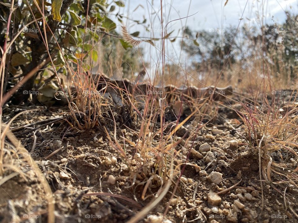 Ashes to ashes, and dust to dust. 