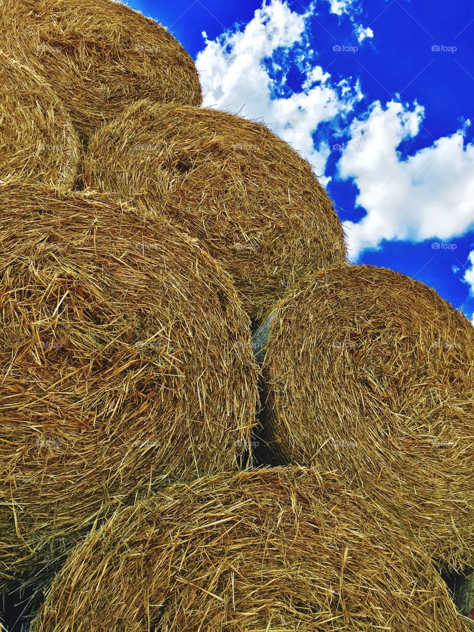 Captured with iPhone 6s Plus 