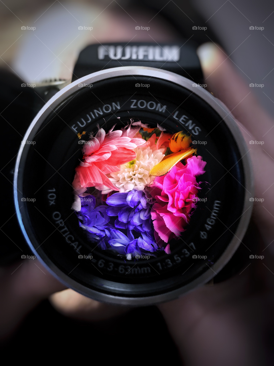 Flowers in the lense