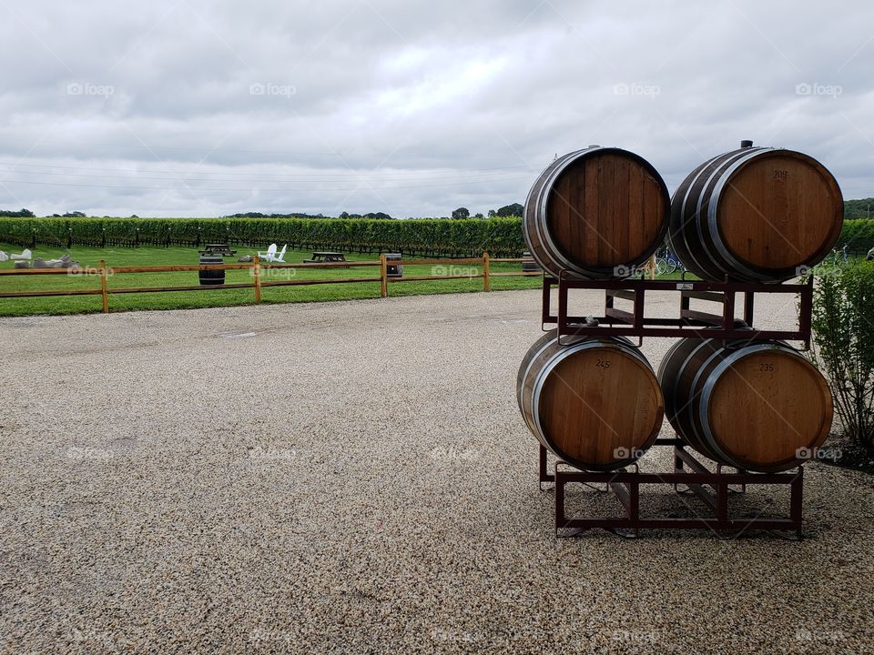 Wine barrels