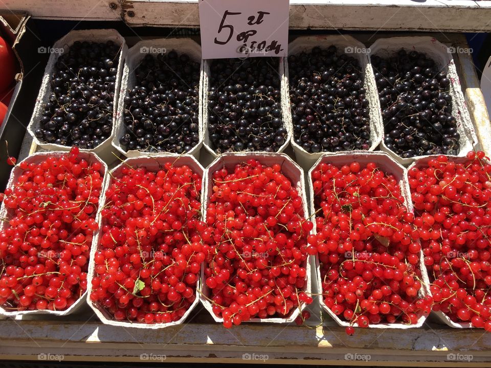 Black and red currant berries in Poland