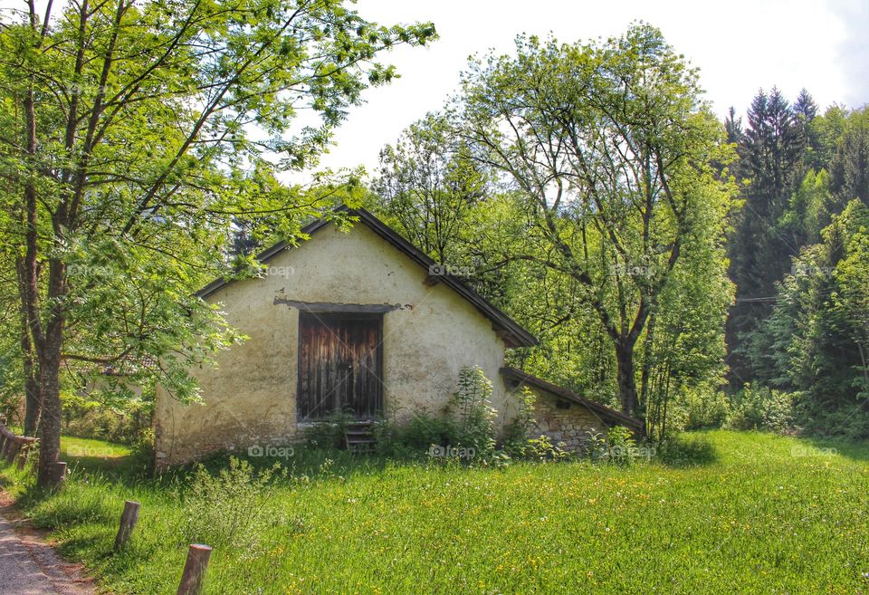 Little cabin in the woods