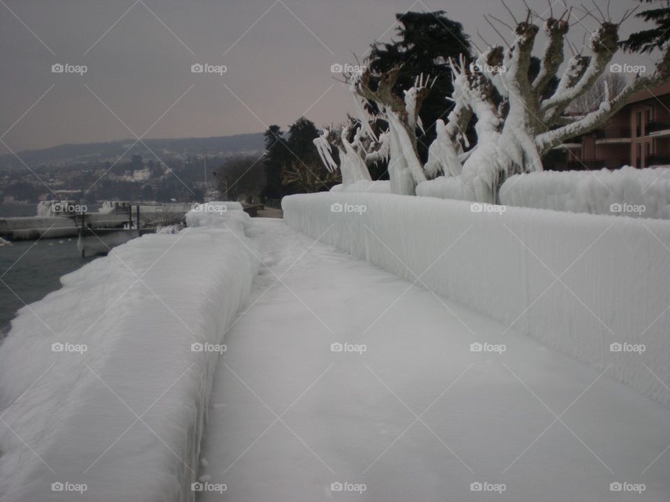 Berges du Léman pétrifiées par la glace