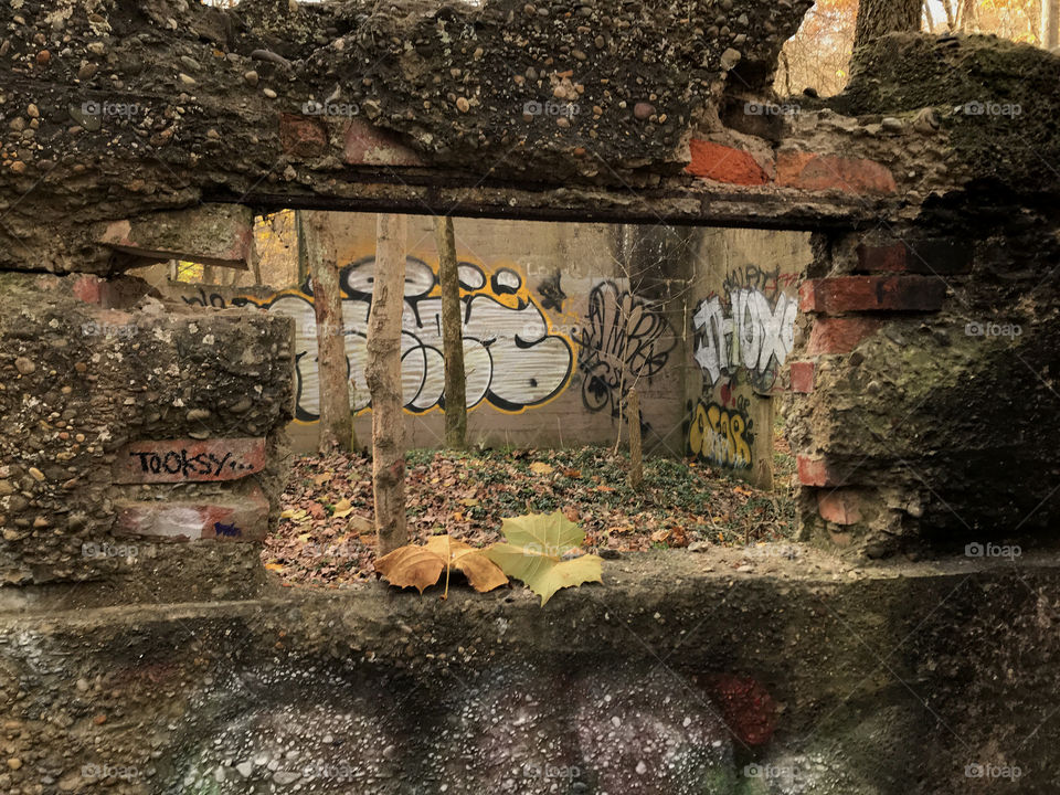 A room with a view ,
