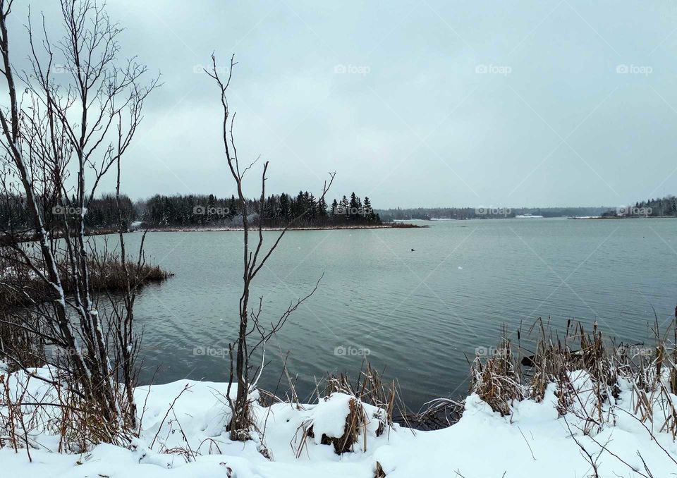a winter scene along the lake