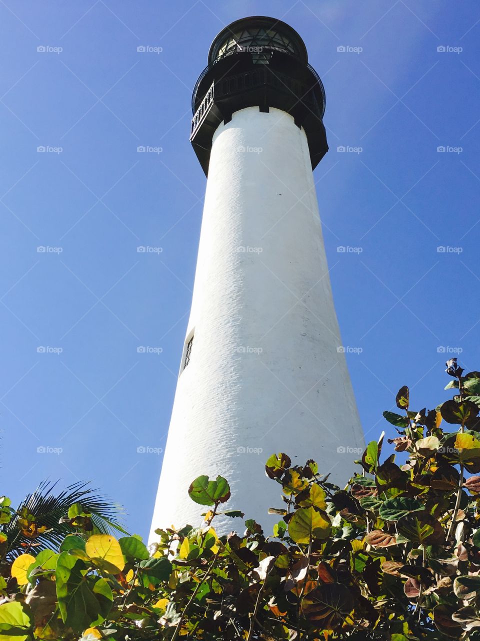 Lighthouse on a clear day.