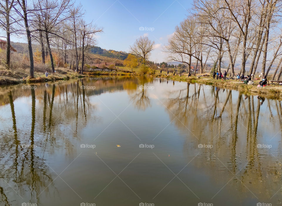 Autumn trees reflections