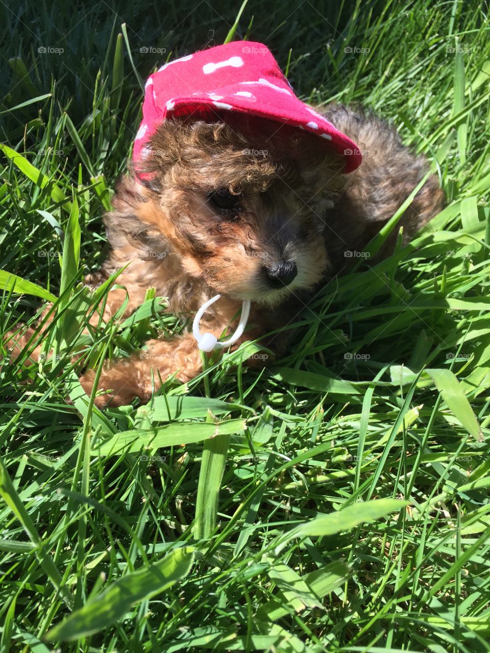 Summer time, baseball time