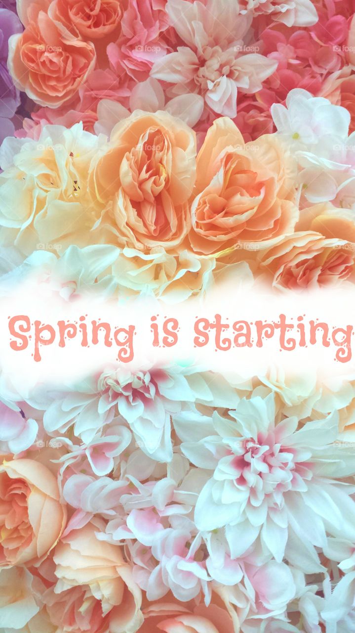 spring is starting, flowers, blooming, bloom