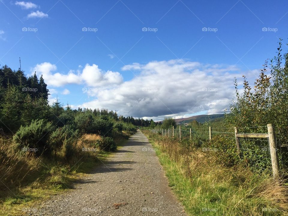 Landscape, Road, No Person, Nature, Sky