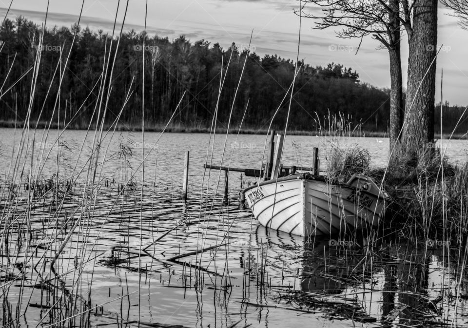 Black-white view. Old boat moored at the small forest lake