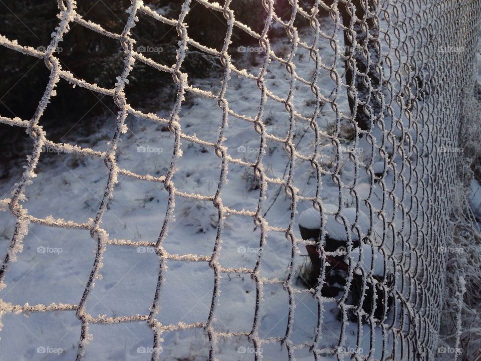 Freezing fence