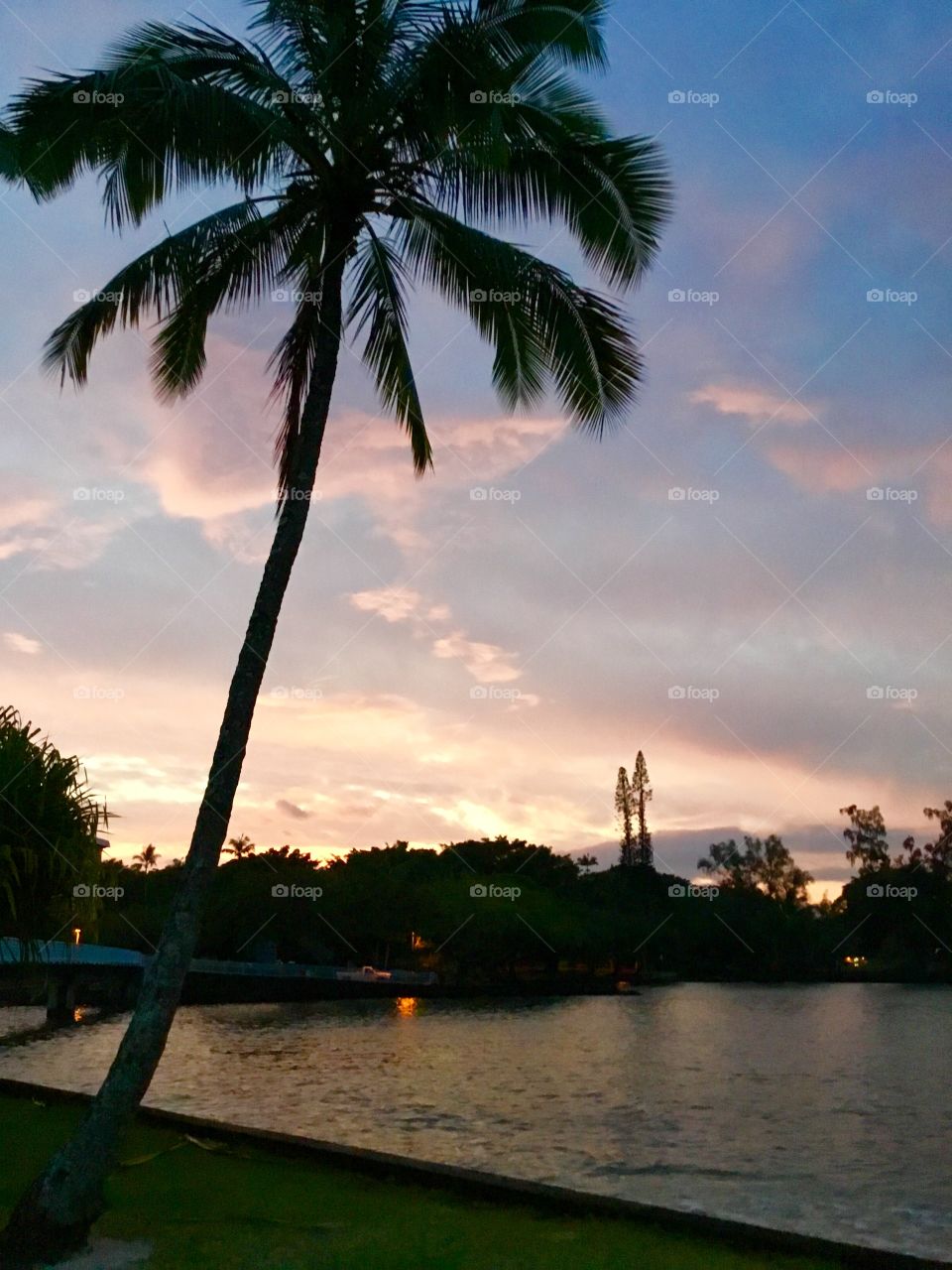 Morning image taken from Coconut Island (Moku Ola) in Hilo, Hawaii