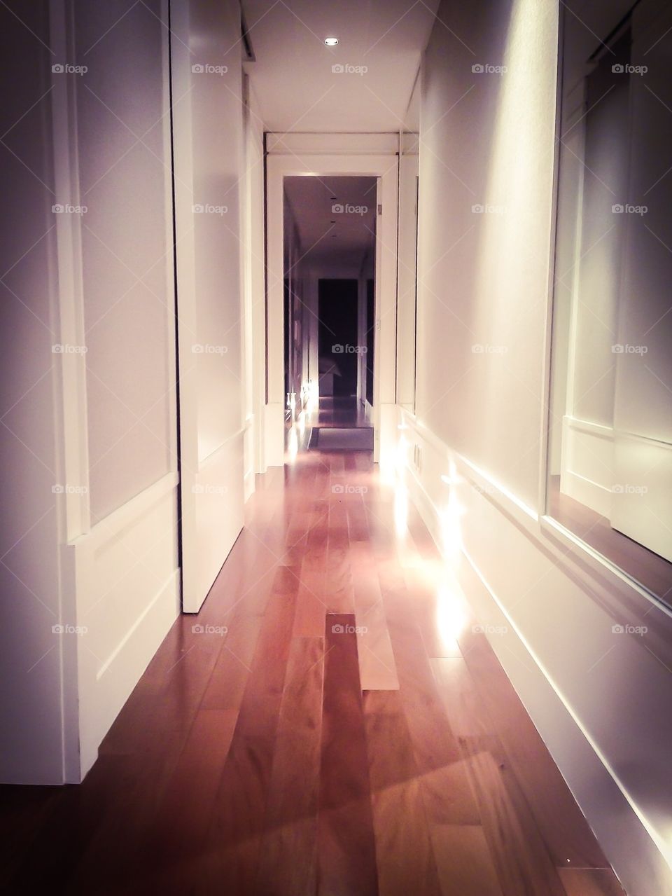 Fancy Hallway