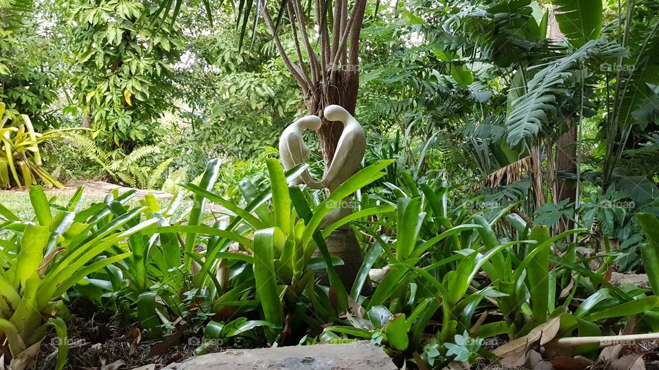 Garden, Flora, Leaf, Nature, Flower