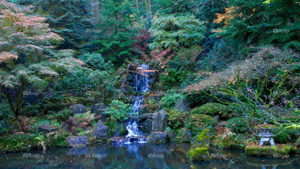 Waterfall at portland in japanese garden