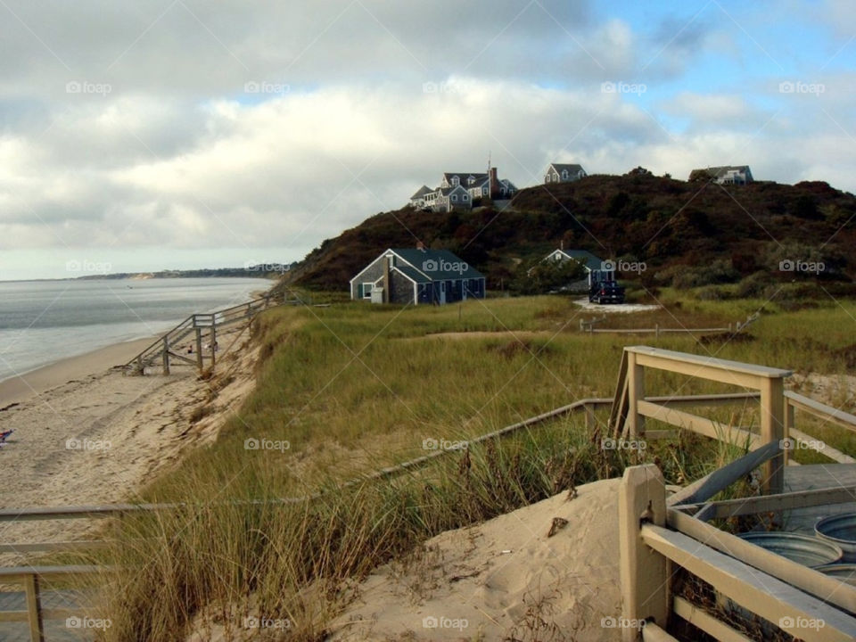 cape cod beach ocean grass by Balloo