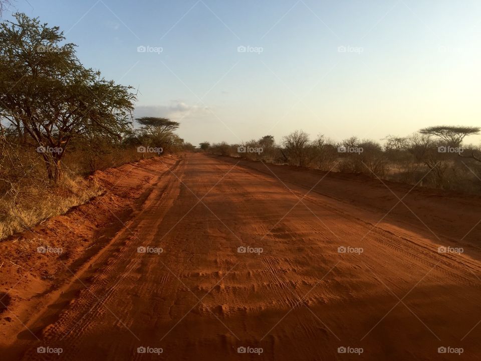 Tsavo Safari 