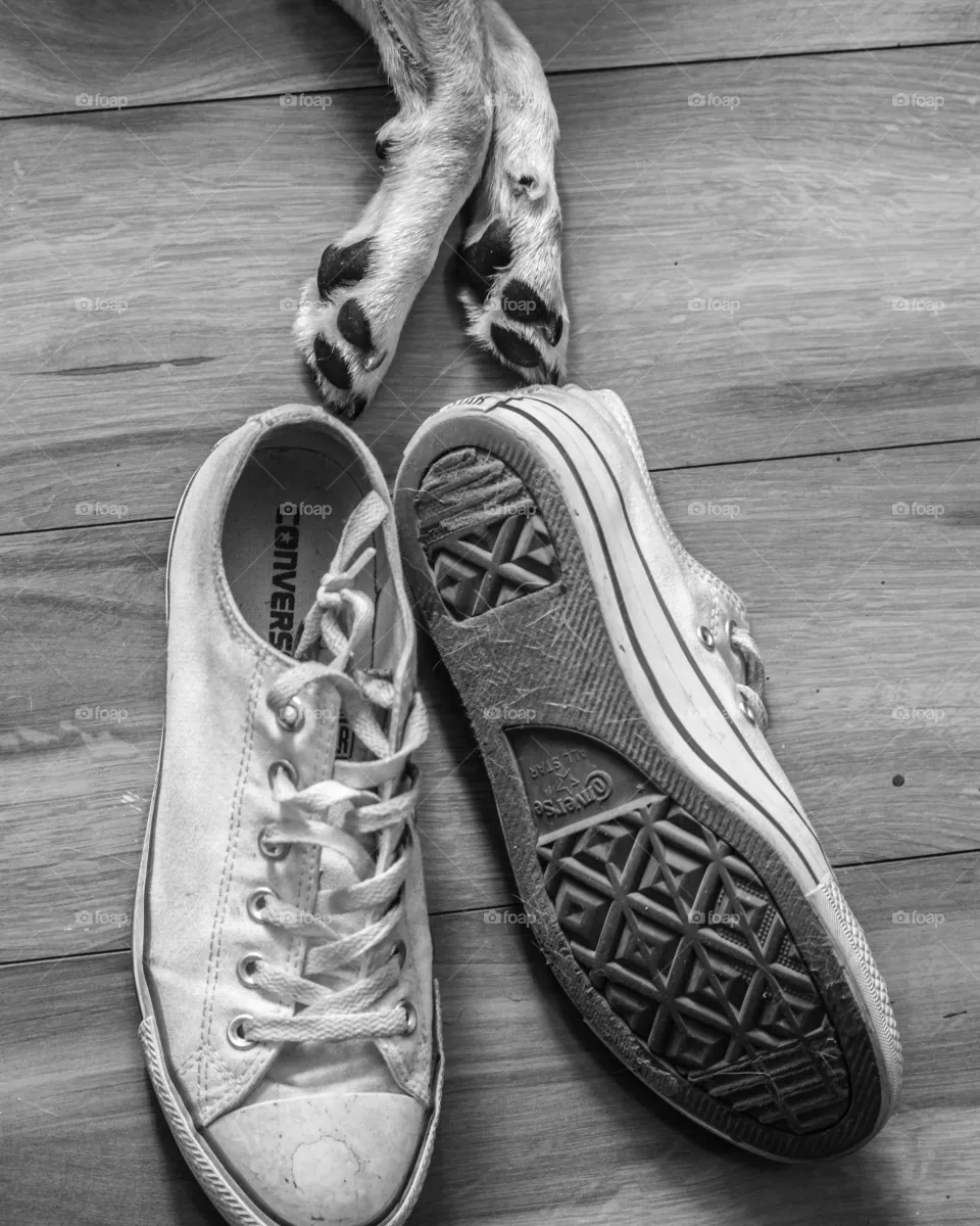 footwear