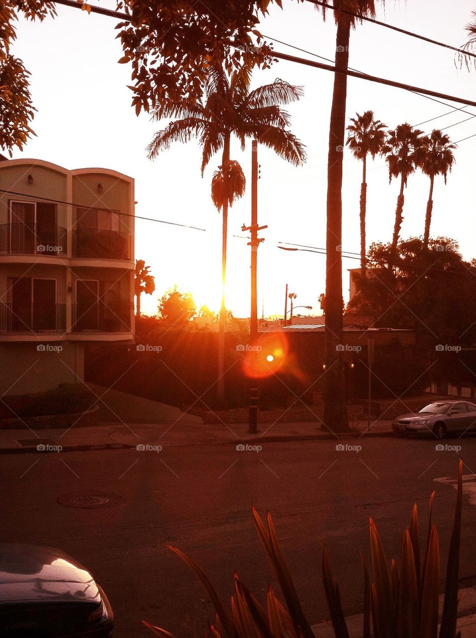 West Hollywood Sunrise 