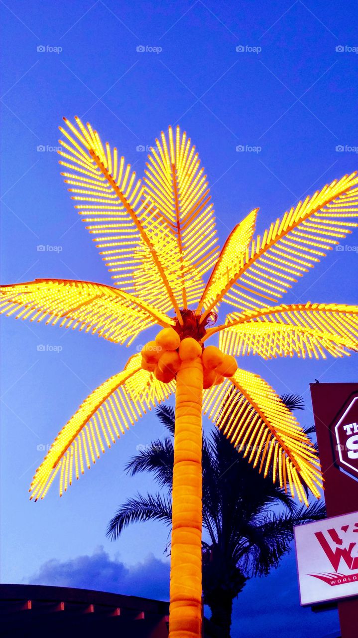 yellow light palm