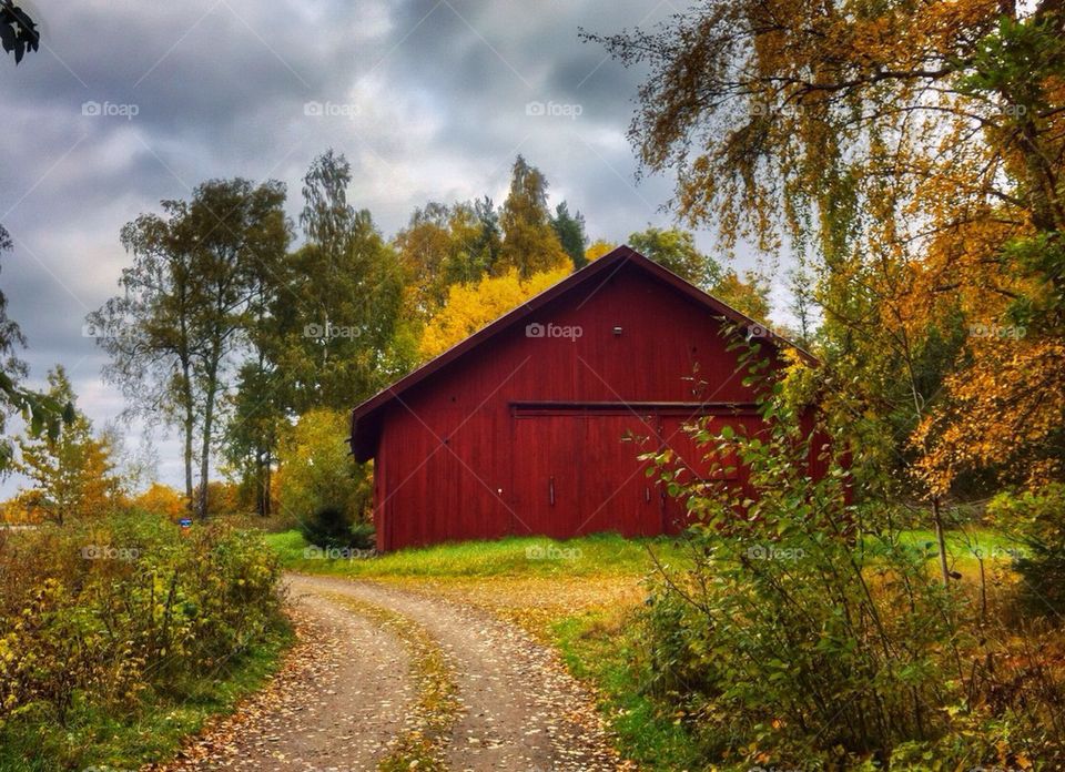 Old barn