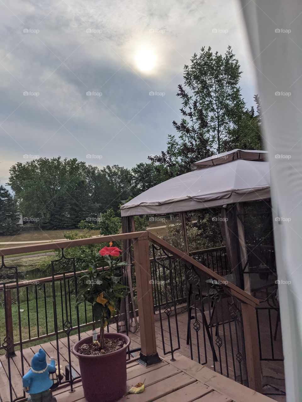 Summer view through my window