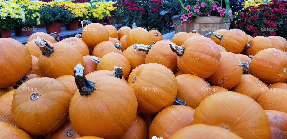 Jack-o-lantern time it is.