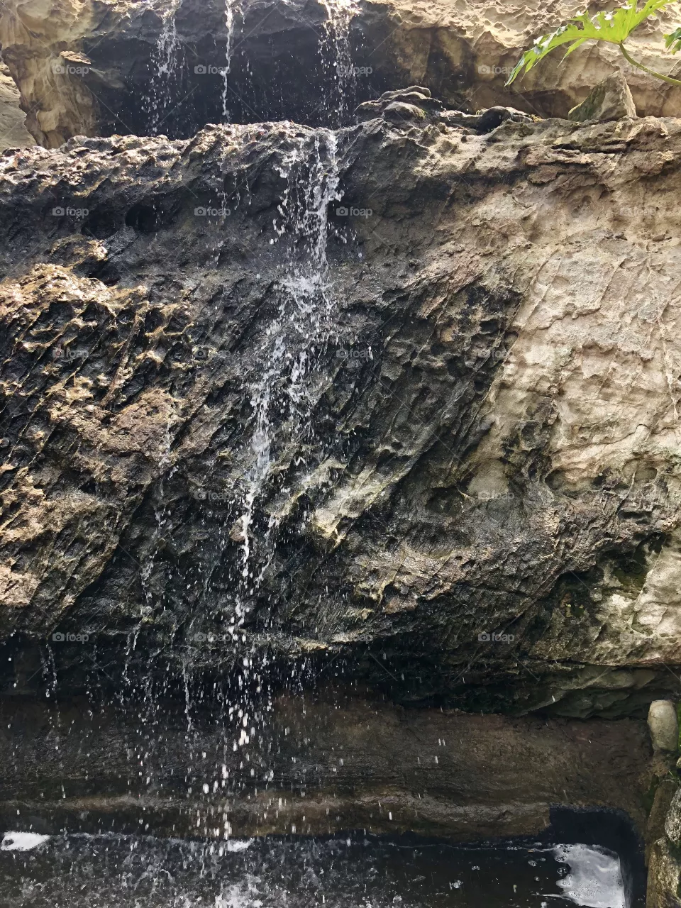 Water