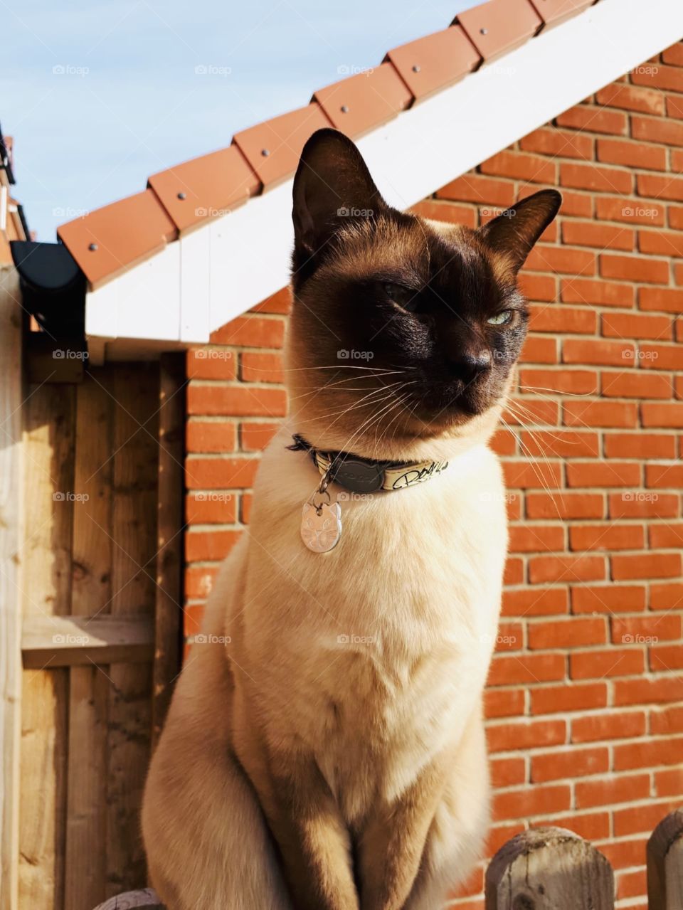 Enjoying the sunshine 