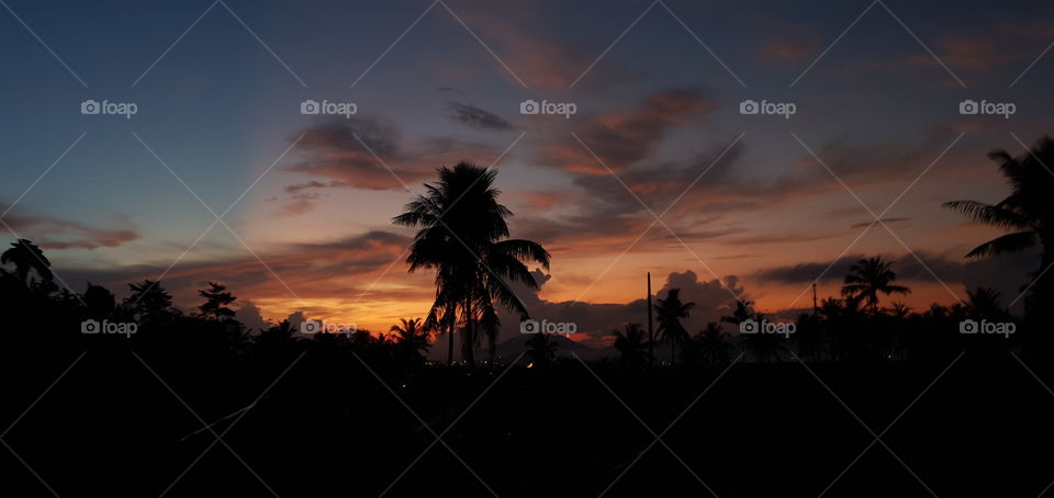 afternoon in the village