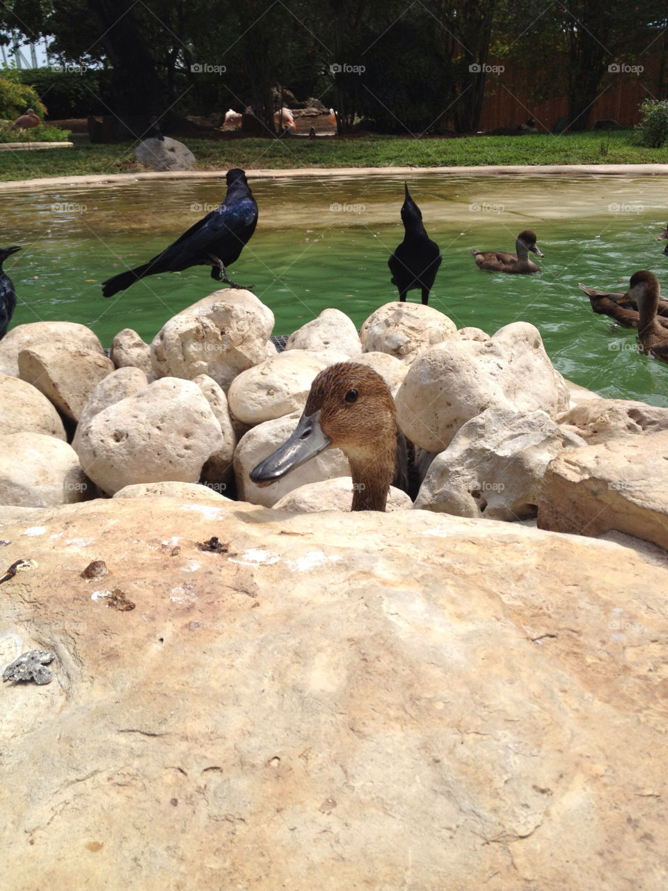 Peek a boo, I see you!