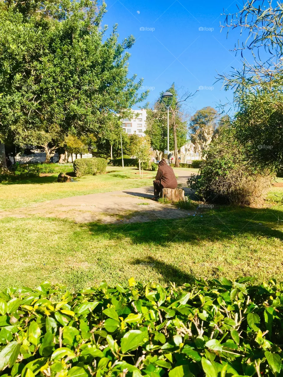 Old Garden 