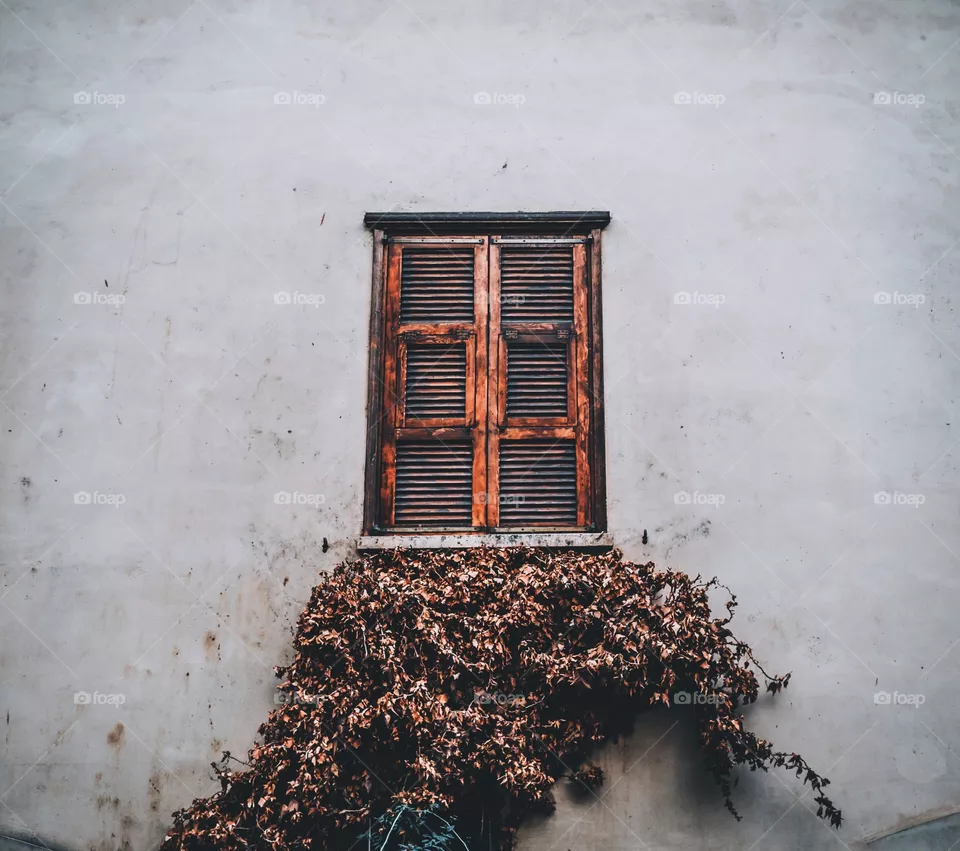 window
