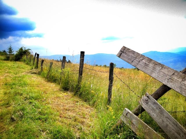 fence
