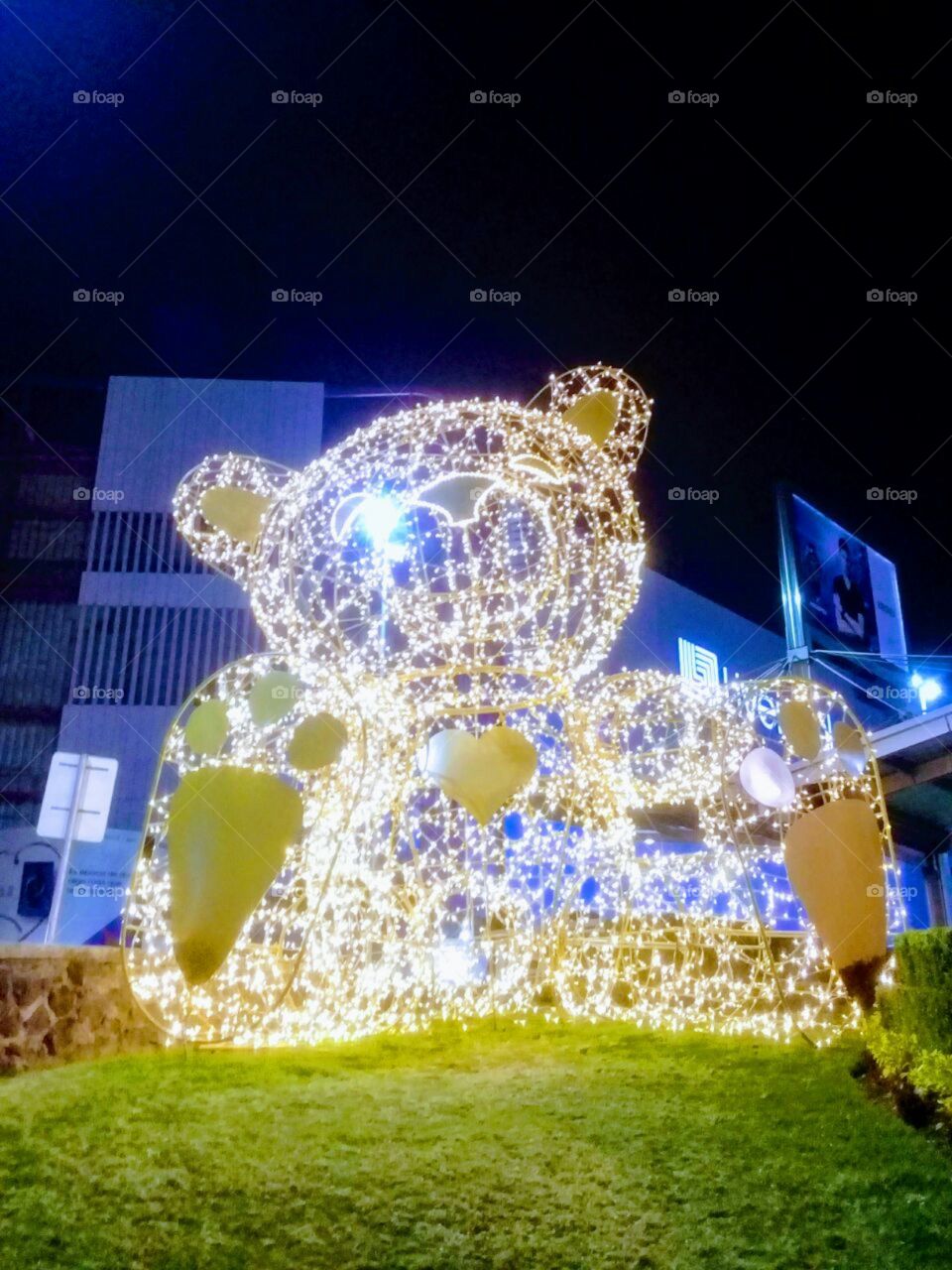 Christmas light bear