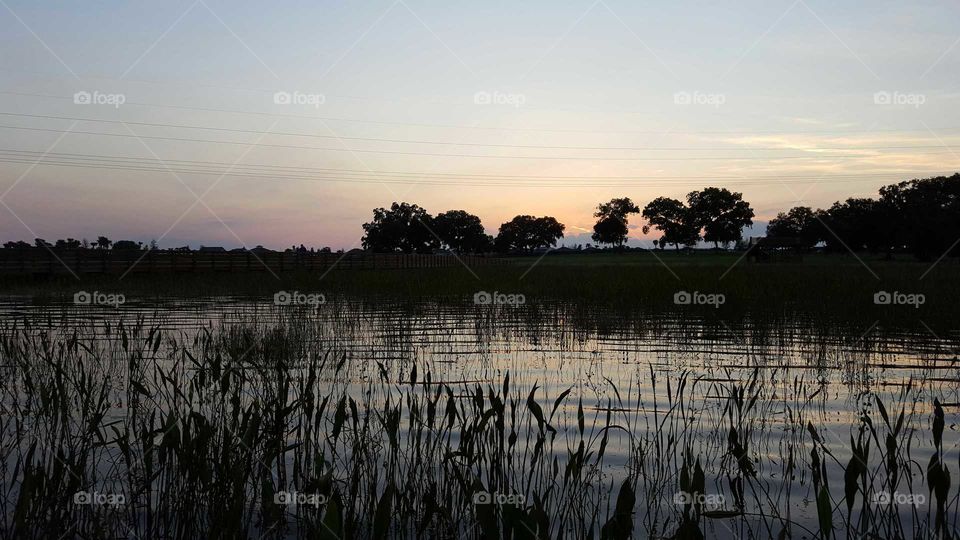 Florida sunset