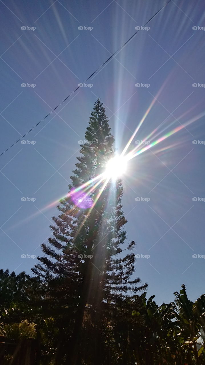 SONNENSCHEIN SONNENSTRAHLEN RAIOS SOLARES