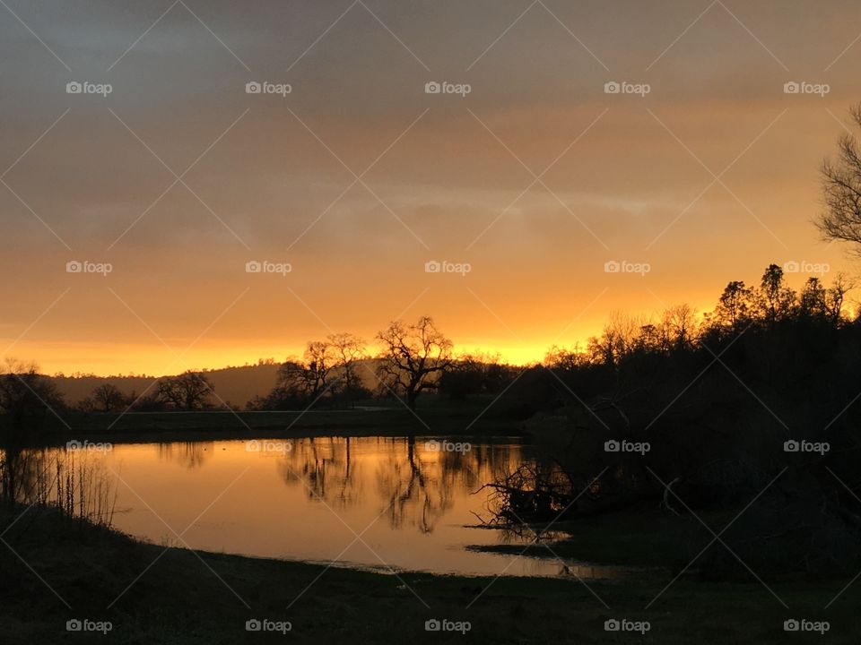Lovely sunset at the pond 
