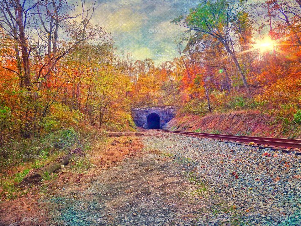 Railroad tunnel in fall