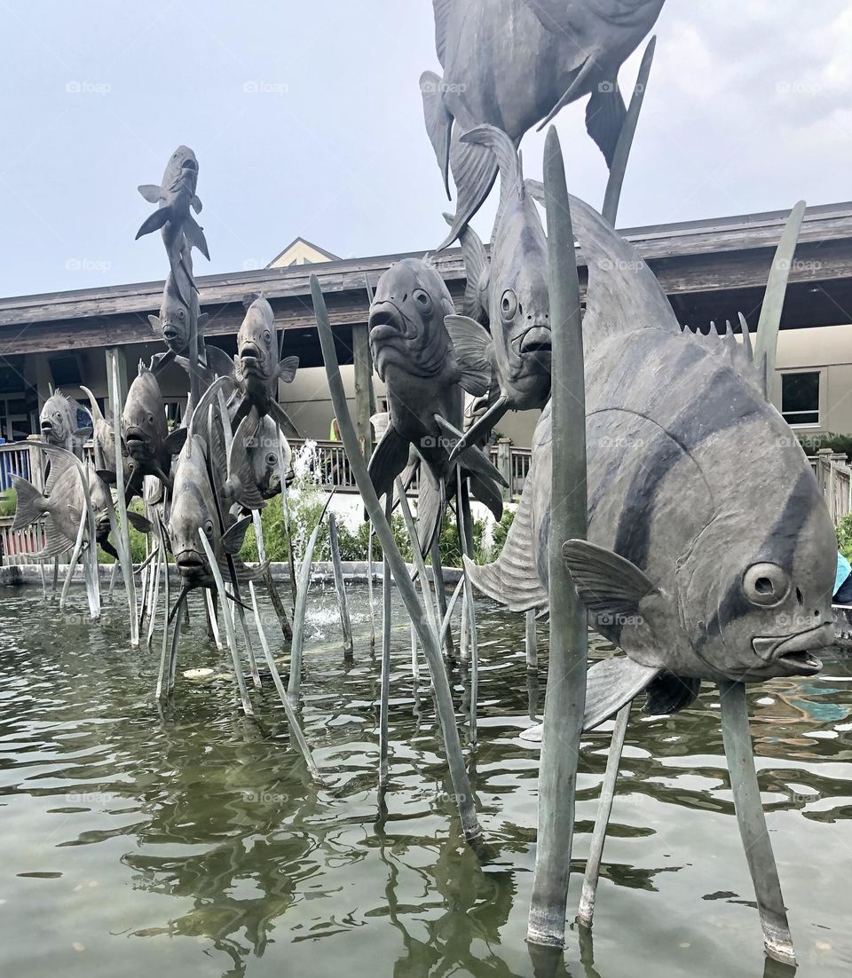 Fish Art display outside of North Carolina Aquarium.
