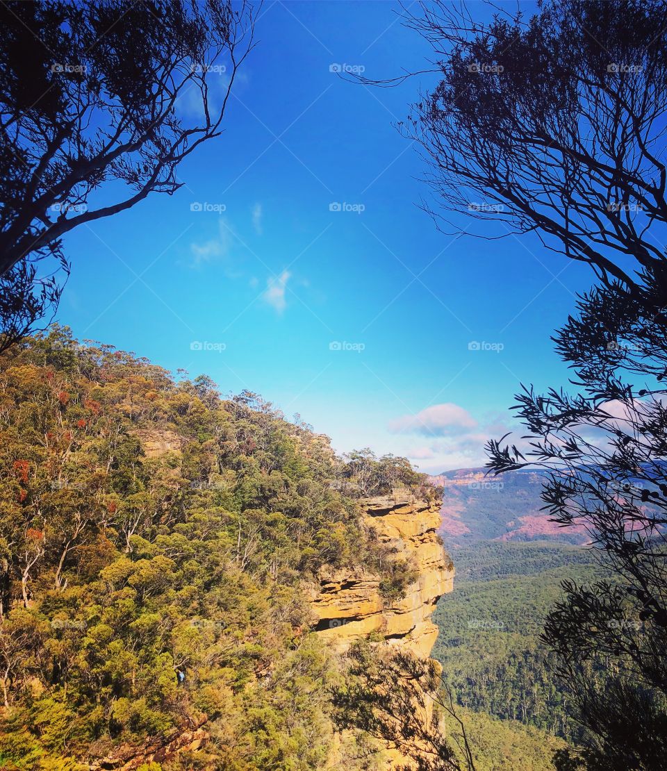 View through the trees in the Blue Mountains Australia 