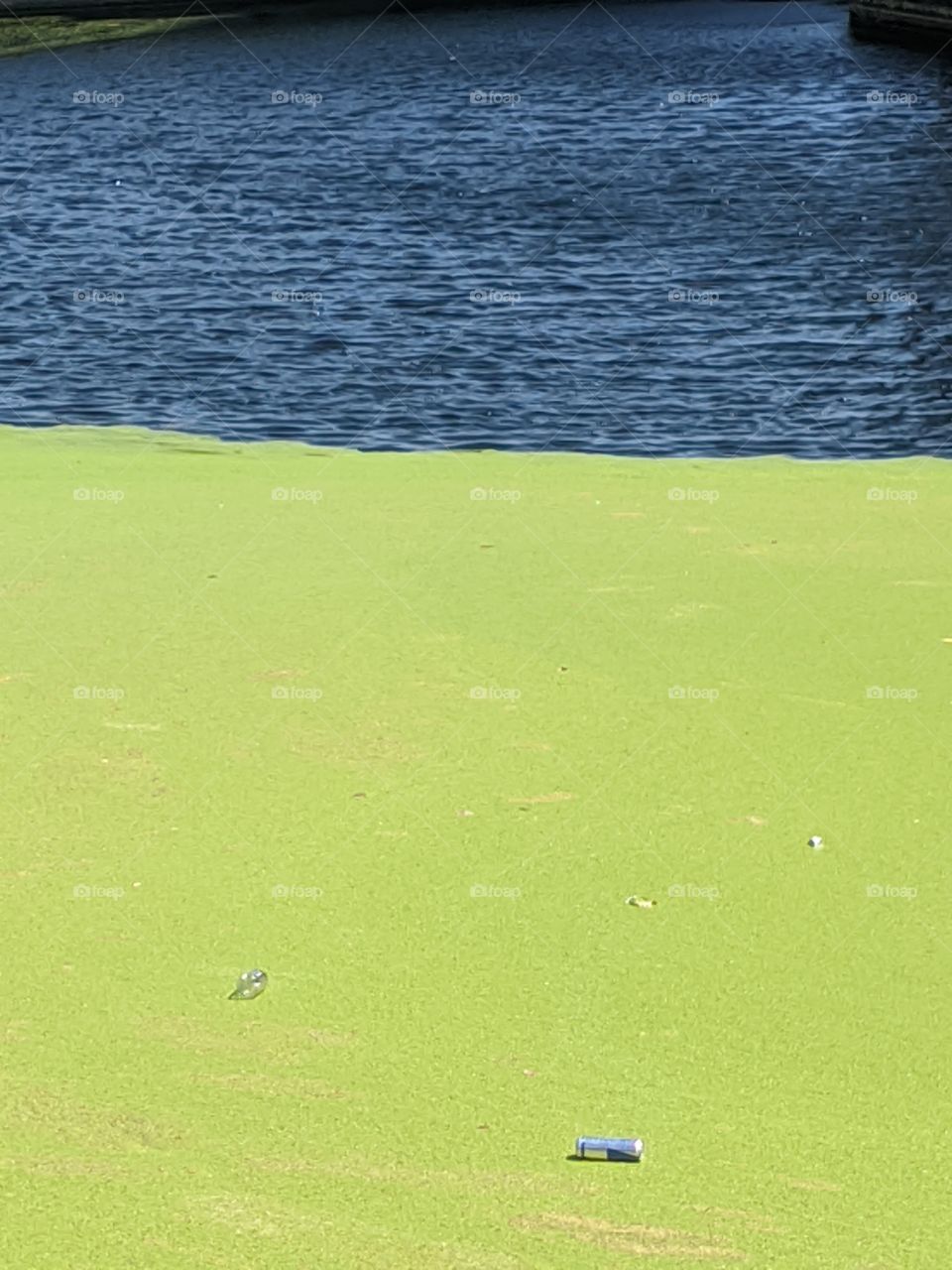 Environmental problem? What can we do to find a solution?