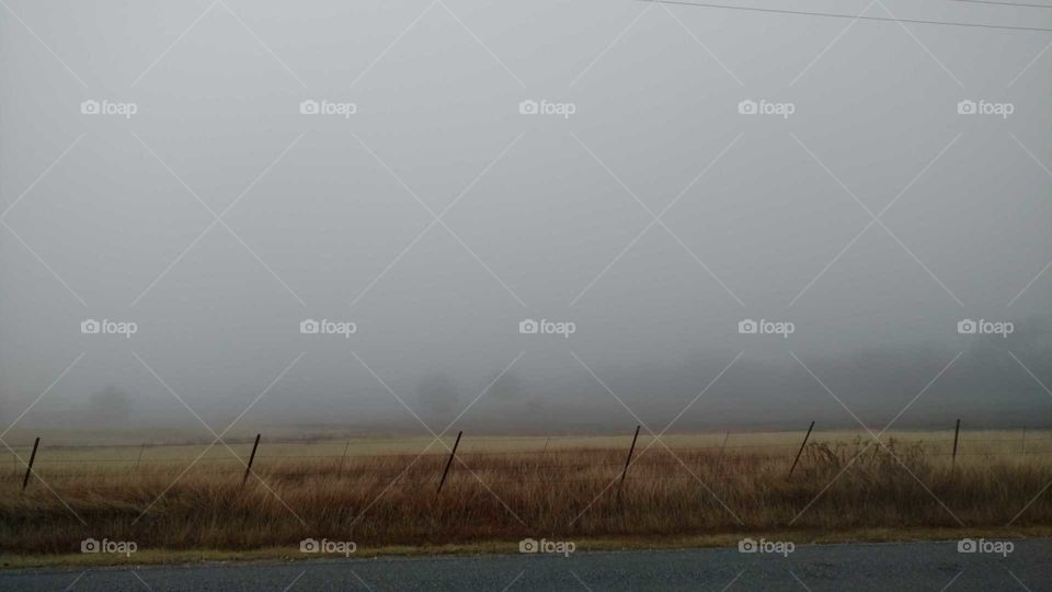 Landscape, Fog, Dawn, Lake, Mist
