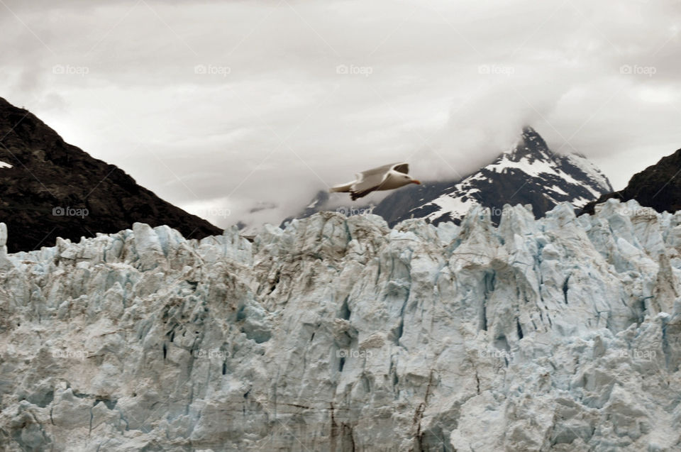 snow mountain ice flying by refocusphoto