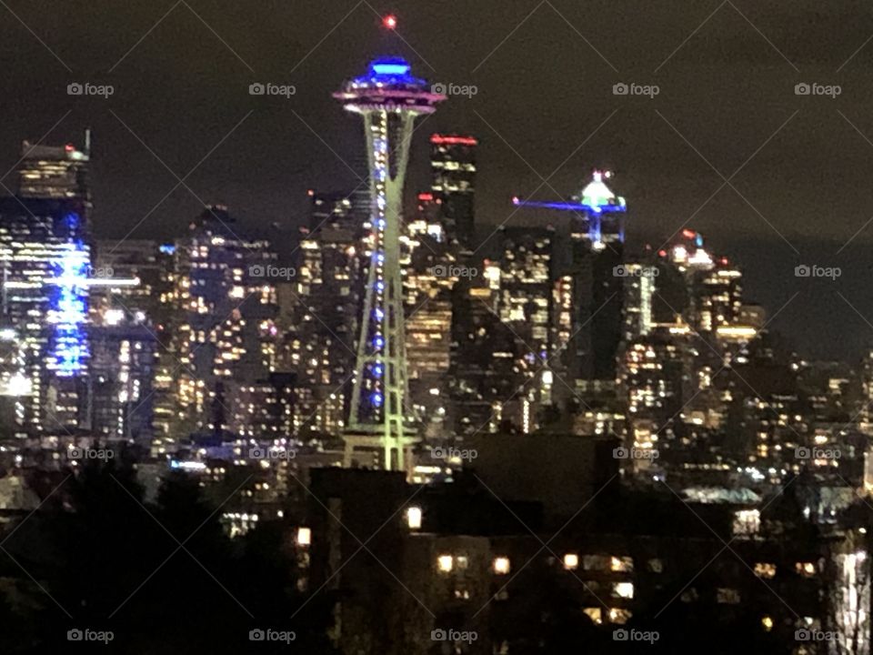 View of the Space Needle from a distant view point in Seattle, WA