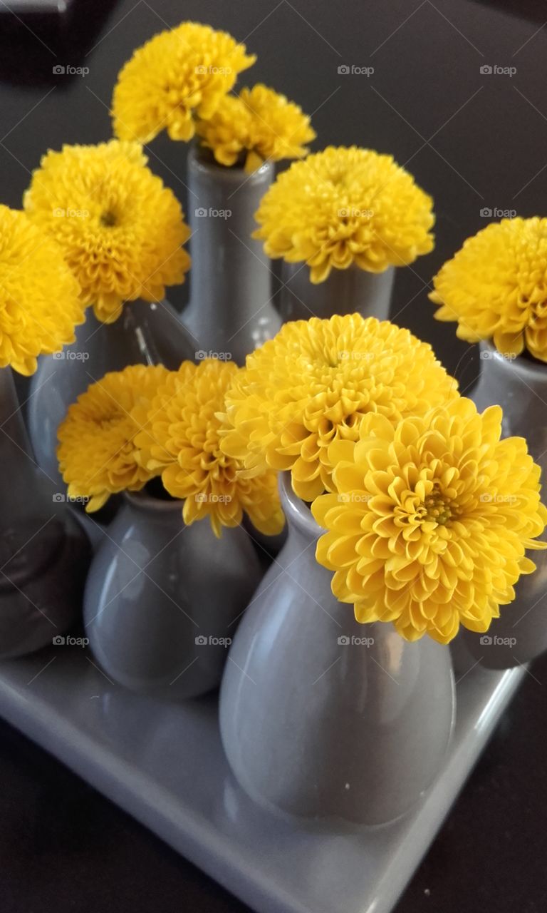 yellow flowers in vases